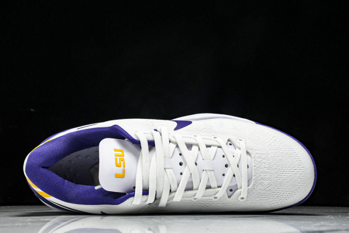 Nike Kobe 8 Protro Whit Court Purple HF7485-001