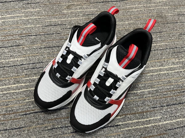 Dior B WellDesigned 1311