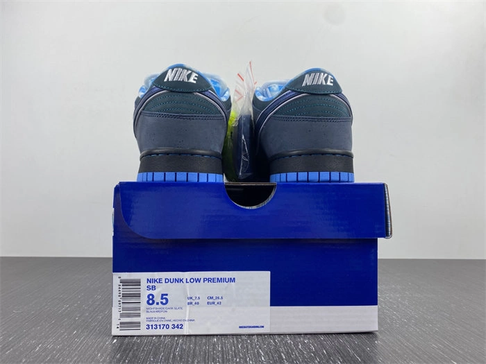 Nike SB Dunk Low Concepts Blue Lobster 313170- Elegant 4552