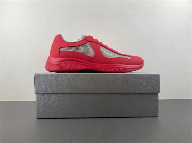 Prada America Colorful 3193